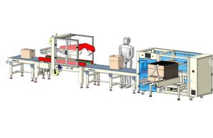 Ligne de conditionnement de cartons LINEBOX-03 avec formeuse de caisses, convoyeur à rouleaux et fermeuse de cartons